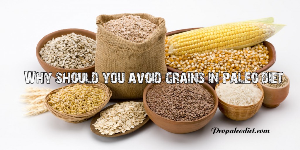 Avoid Grains in Paleo Diet