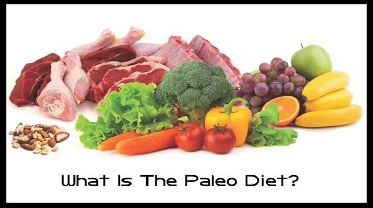 What is paleo diet