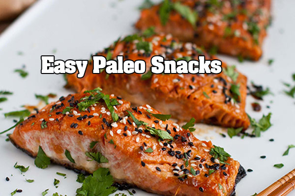 Paleo Snacks