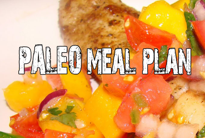 Paleo Meal Plan