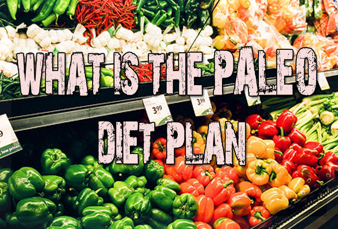 Paleo Diet Plan