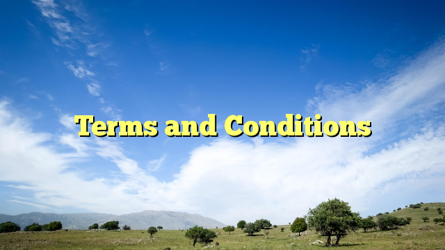 Terms and Conditions